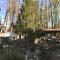 Dark Green House Chacras de Coria
