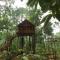 Tall Trees - Modern forest Villa in Wayanad - Sultan Bathery