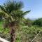 Hotel Villa DavidL