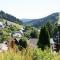 Modern apartment near Willingen with private terrace and use of garden - 维林根
