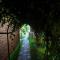 Mystery Maze Resort and Spa - Wayanad