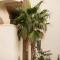 Modern flat with Montgo view - Denia