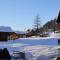 Chalet Engi Apt. 3 for up to 8 People - Grindelwald