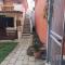 La CasAffittiera Apartments Group