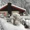 Cozy House above Lake Lucerne in car-free Vitznau Mittlerschwanden at Mount Rigi railway - 菲茨瑙