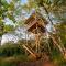 Osa Conservation Campus - Cabo Matapalo
