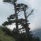 B&B Le Ginestre B&B Le Ginestre