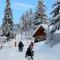 NEW-Ski in & out spacious apartment, Sauna-Gym-Piscine - Oz