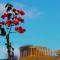 Absolute Athens Acropolis View