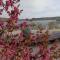 Wczasy Chmielno Apartament PUDROWY - 切米诺