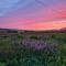 Charming Parlour Cottage at Tinto Retreats near Biggar - Wiston