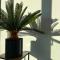 Penthouse with awesome terrace and free parking - 科特赖克