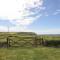 Ceiriad - 9 Tyn Don