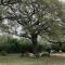 Hadley's House - A Country 3 Bdrm with Screened-In Porch - New Braunfels