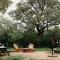 The Maverick: A-Frame w/ Hammock and Tree Top View - New Braunfels