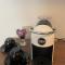 Studio apartamenti Cēsis