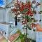 B&B Giardini di Iside e Osiride - Ischia