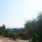 Villa Olivo - Lastra a Signa