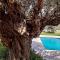 Olive Sense Villa with jacuzzi and sauna