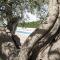 Masseria Gravelle