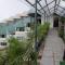Kufri Heritage Resort & Spa