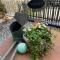 Apartment LANDECK-CITY