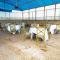 Paleo Hotel and Spa, Thika