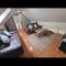 Woodland lodge, apartment