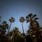 Chayofa Paraiso, apartamento Tenerife Sur