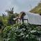 Glamping La Cepa GUATAPÉ