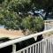 Jolie T2 à Arcachon - Parking, WiFi, Proche Plage - FR-1-374-3