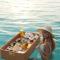 Goa Marriott Resort & Spa