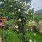 Apartman Sonja Trebinje