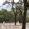 The Tree Lounge