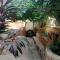 Tabassam Guest House