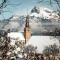La marmotte: Vue Mont Blanc, terrasse, parking - Combloux