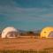 The Wine Dome