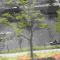 Wonderful stay Monet - خنت