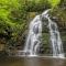 Alone At Last- Hot Tub, Cozy Cabin Retreat in the Smokies