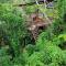 The Valley Tayrona hostel- A social jungle hostel - 埃尔扎伊诺