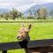 Karamea River Motels