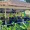 Ban Kaew Villas - Bophut