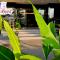 Salsa Resort Langkawi By Casa Loma - Pantai Cenang