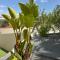 Appartement T2 Casa Di Simone Pietrosella Corse du Sud - 皮耶特罗塞拉
