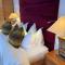 Elegant apartment in Flims close to Lake Caumasee - Flims