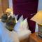Elegant apartment in Flims close to Lake Caumasee - Flims