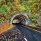 Smoky Bear Lodge with Guest House, Hot Tub, 1089 FREE tickets each paid day, Dollywood and More