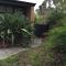 Paradise Grove