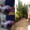 Emmas Guest House