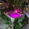 Jungle Spa Privatif - Love Room - Séjour nature et romantique à L'appart'hôtel 23ème avenue - Lamalou-les-Bains